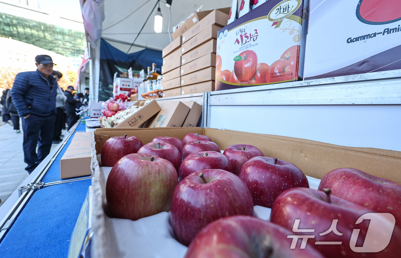(서울=뉴스1) 김도우 기자 = 10일 서울시청 앞 서울광장에서 열린 '2025 경북 사과 홍보행사'에서 시민들이 사과를 살펴보고 있다. 2025.11.10/뉴스1
