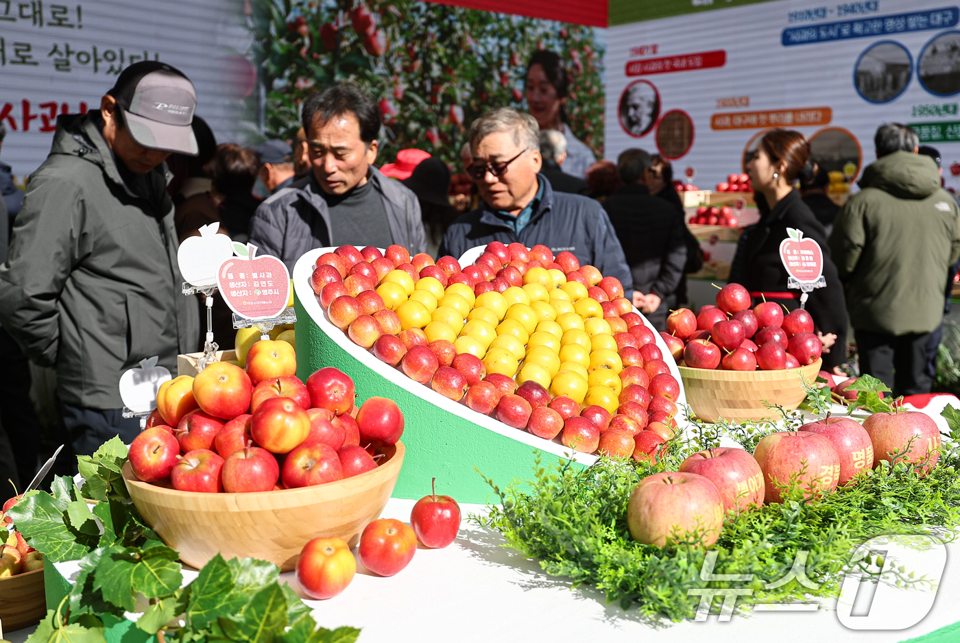 (서울=뉴스1) 김도우 기자 = 10일 서울시청 앞 서울광장에서 열린 '2025 경북 사과 홍보행사'에서 시민들이 명품관에 전시된 사과를 살펴보고 있다. 2025.11.10/뉴스1 …