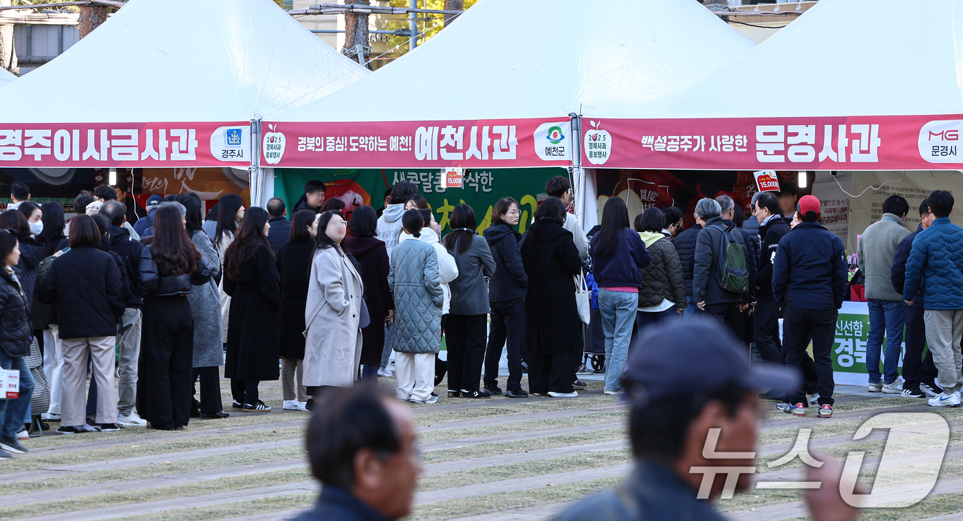 (서울=뉴스1) 김도우 기자 = 10일 서울시청 앞 서울광장에서 열린 '2025 경북 사과 홍보행사'에서 시민들이 구매를 위해 대기하고 있다. 2025.11.10/뉴스1