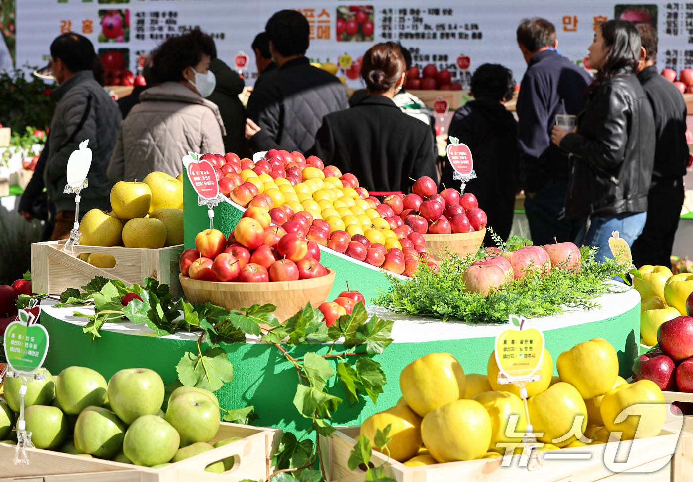 (서울=뉴스1) 김도우 기자 = 10일 서울시청 앞 서울광장에서 열린 '2025 경북 사과 홍보행사'에서 시민들이 명품관에 전시된 사과를 살펴보고 있다. 2025.11.10/뉴스1 …