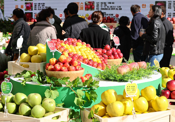 '알록달록' 사과