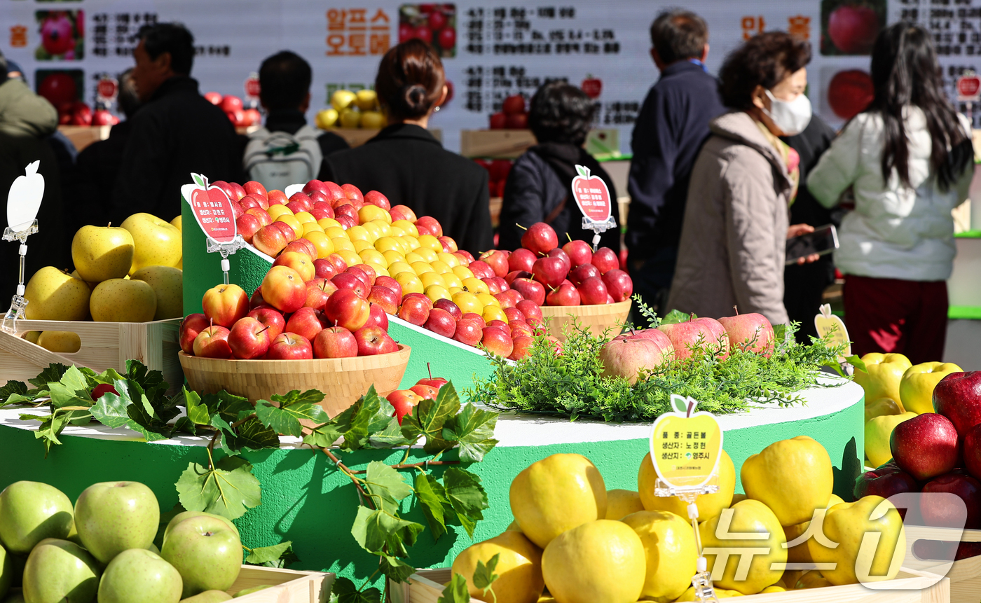 (서울=뉴스1) 김도우 기자 = 10일 서울시청 앞 서울광장에서 열린 '2025 경북 사과 홍보행사'에서 시민들이 명품관에 전시된 사과를 살펴보고 있다. 2025.11.10/뉴스1 …