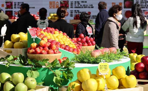 '알록달록 사과'