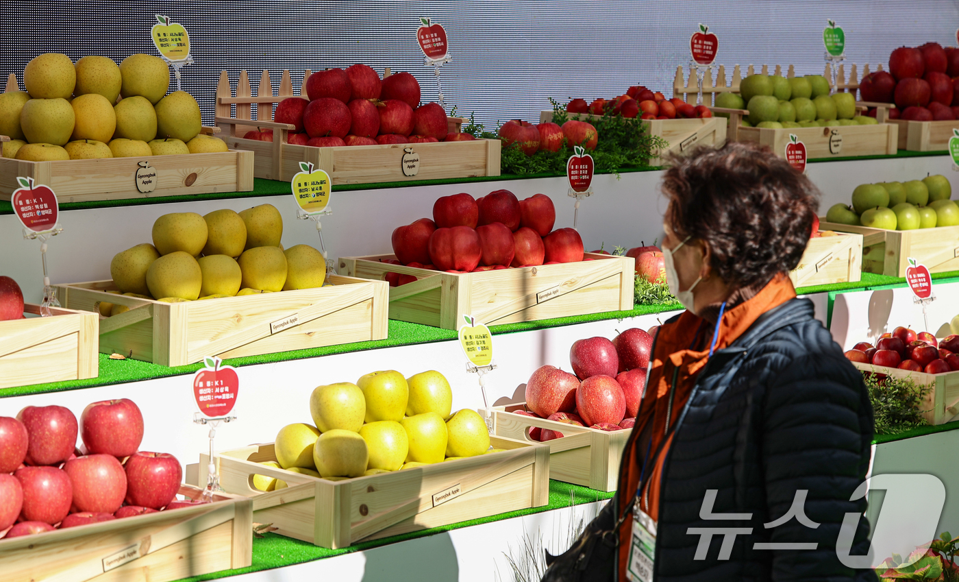(서울=뉴스1) 김도우 기자 = 10일 서울시청 앞 서울광장에서 열린 '2025 경북 사과 홍보행사'에서 시민들이 명품관에 전시된 사과를 살펴보고 있다. 2025.11.10/뉴스1 …