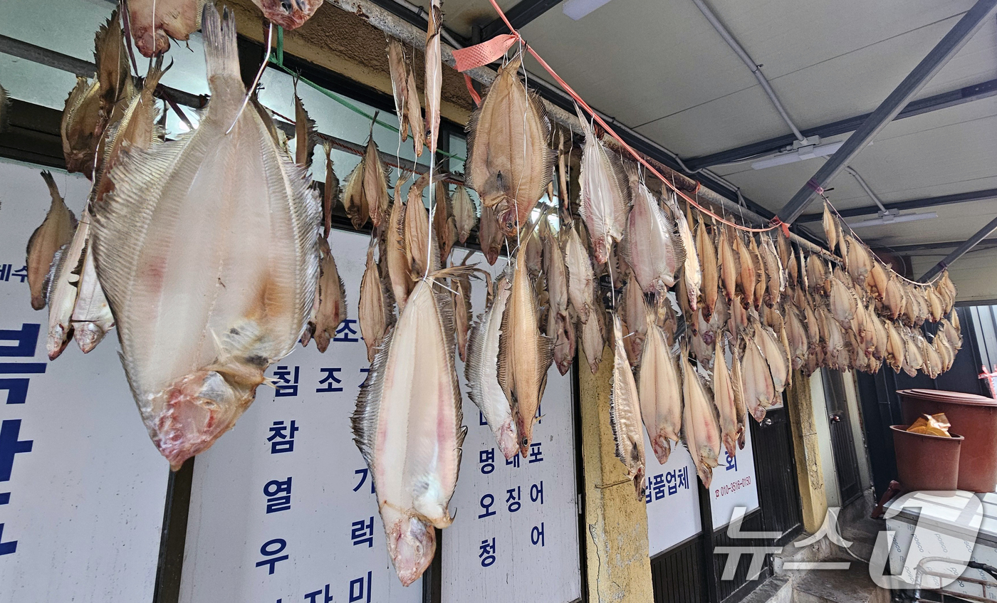 (포항=뉴스1) 최창호 기자 = 10일 경북 포항시 죽도어시장 상가 처마 밑에서 물가자미들이 가을 햇살에 말라가고 있다. 2025.11.10/뉴스1