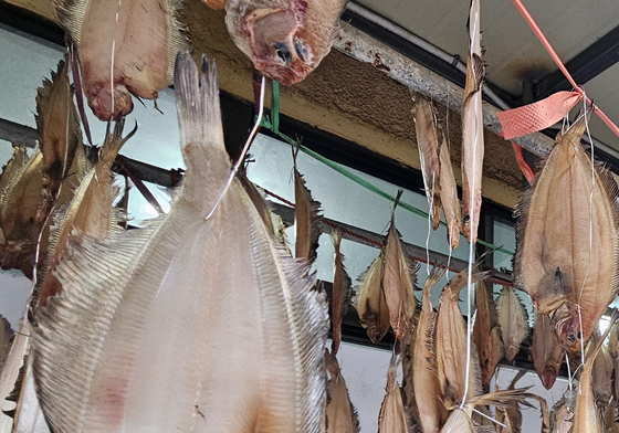 꾸덕 꾸덕 말라가는 물가지미