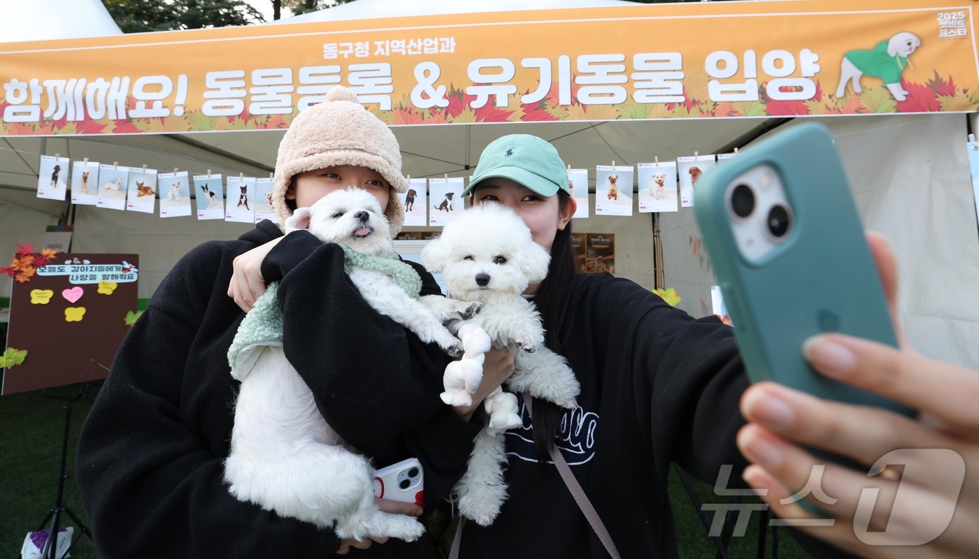 (대전=뉴스1) 김기태 기자 = 지난 9일 대전 동구 우송대학교 반려동물 놀이터에서 열린 ‘2025 펫비트 페스타’에서 주민들이 반려견과 함께 프로그램을 체험하고 있다.(동구 제공 …