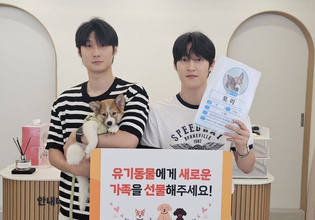 '안락사 위기' 유기견 20마리…3개월 만에 '새 가족' 생겼다