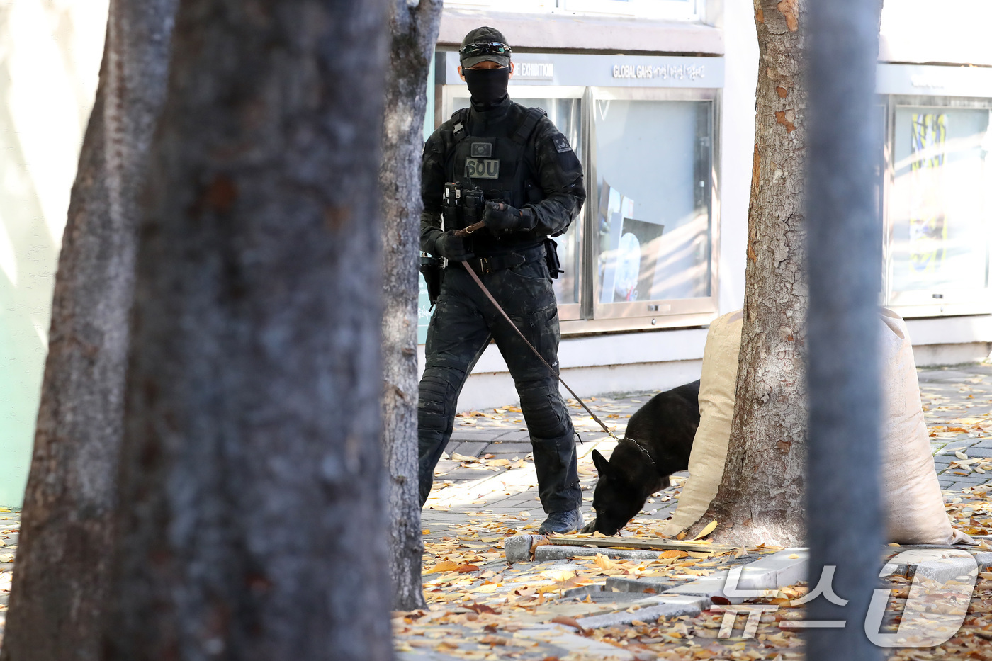 (대구=뉴스1) 공정식 기자 = 2026학년도 대학수학능력시험을 사흘 앞둔 10일 오전 대구 남구의 고등학교에 사제 폭발물을 설치했다는 신고가 접수돼 현장에 투입된 경찰특공대와 탐 …