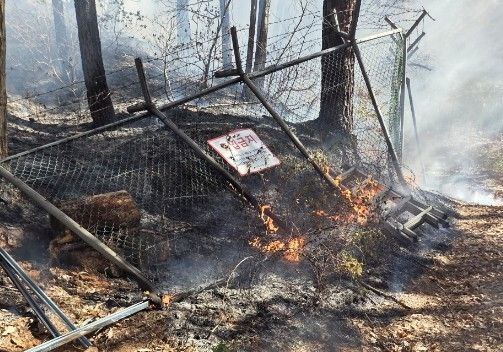 수원 광교산 자락서 불…20여분 만에 큰 불길 잡아