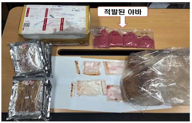 마약 밀반입 태국인, 도피 8개월 만에 불체자 검문 걸려 구속 기소