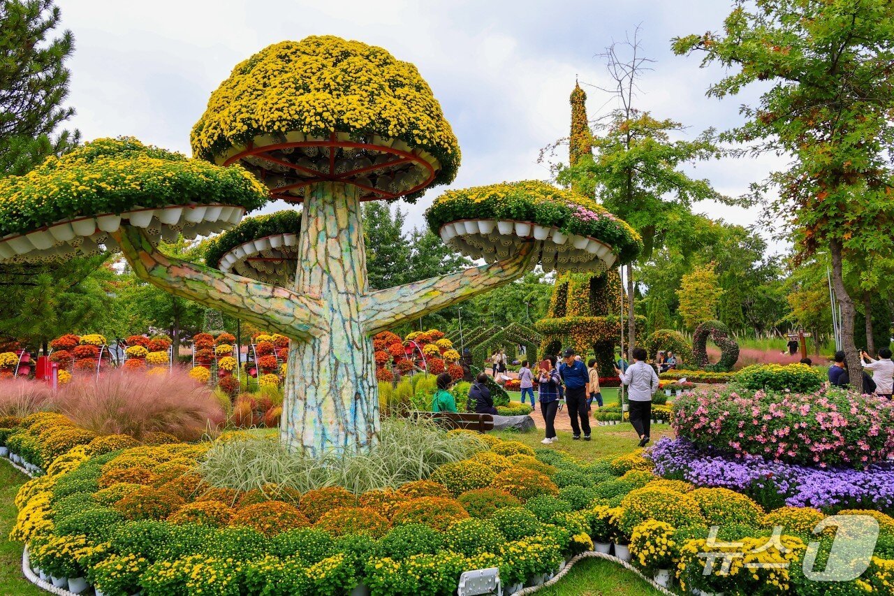 본문 이미지 - 유성국화축제 모습.(유성구 제공. 재판매 및 DB금지)/뉴스1