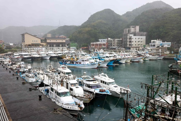 [포토] 태풍 펑웡 대비해 정박한 대만 어선들