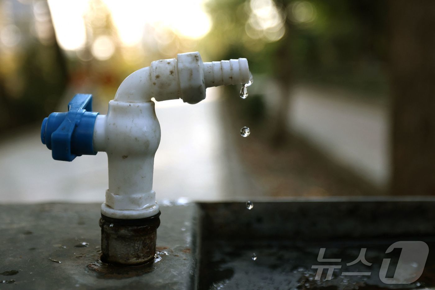 (테헤란 AFP=뉴스1) 이창규 기자 = 이란이 극심한 물 부족을 겪는 가운데 테헤란의 멜랏 공원의 수도꼭지에서 9일(현지시간) 물이 한 방울씩 떨어지고 있다. 2025.11.9. …