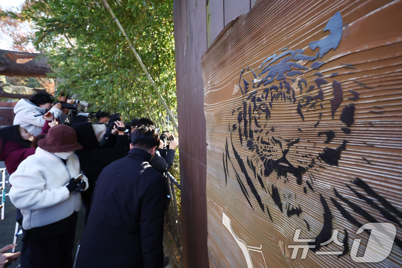 (과천=뉴스1) 김민지 기자 = 11일 오전 경기 과천시 서울대공원 동물원에서 시민들이 시베리아 새끼호랑이 설호를 보고 있다.설호는 올해 6월 6일 현충일에 서울대공원에서 태어난 …