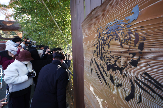 아기호랑이 설호 향한 관심