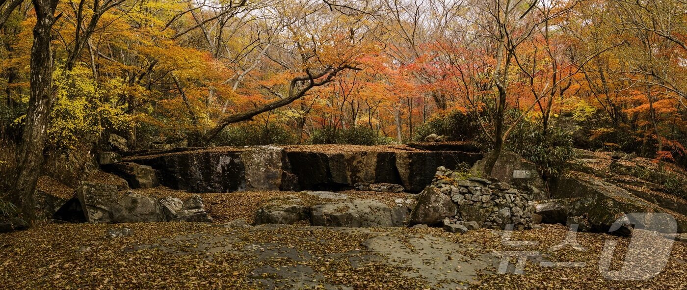 본문 이미지 - 11일 전북 진안군 주천면에 소재한 운장산에 단풍이 물들고 있다.&#40;진안군제공. 재판매 및 DB금지&#41;2025.11.11/뉴스1 