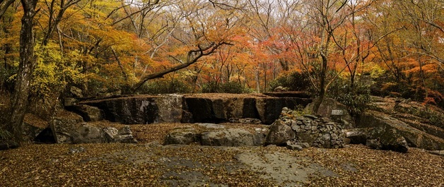 [오늘의 날씨] 전북(17일, 월)…낮부터 기온 뚝, 저녁 서해안 가끔 비