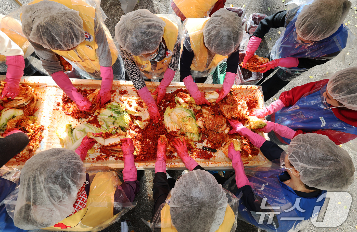 (서울=뉴스1) 장수영 기자 = 대한적십자사 서울지사 회원들과 고려아연 임직원들이 11일 오전 서울 노원구 적십자사 서울지사 북부봉사관에서 어려운 이웃에게 전달할 김치를 담그고 있 …