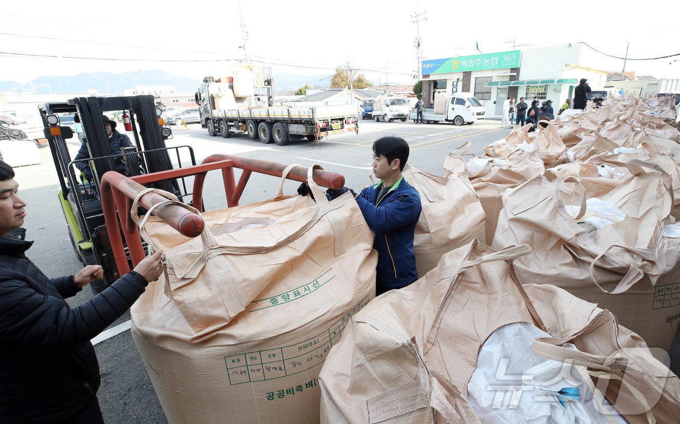 (광주=뉴스1) 박지현 기자 = 11일 광주 북구 건국동 북광주농협 우치동지점에서 식량위기 대응과 쌀값안정을 위해 시행하는 2025년산 공공비축미곡 매입 현장에서 북구청 도시농업팀 …