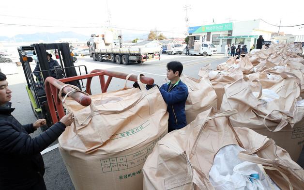 수확 벼 품질 확인하는 북구청 직원