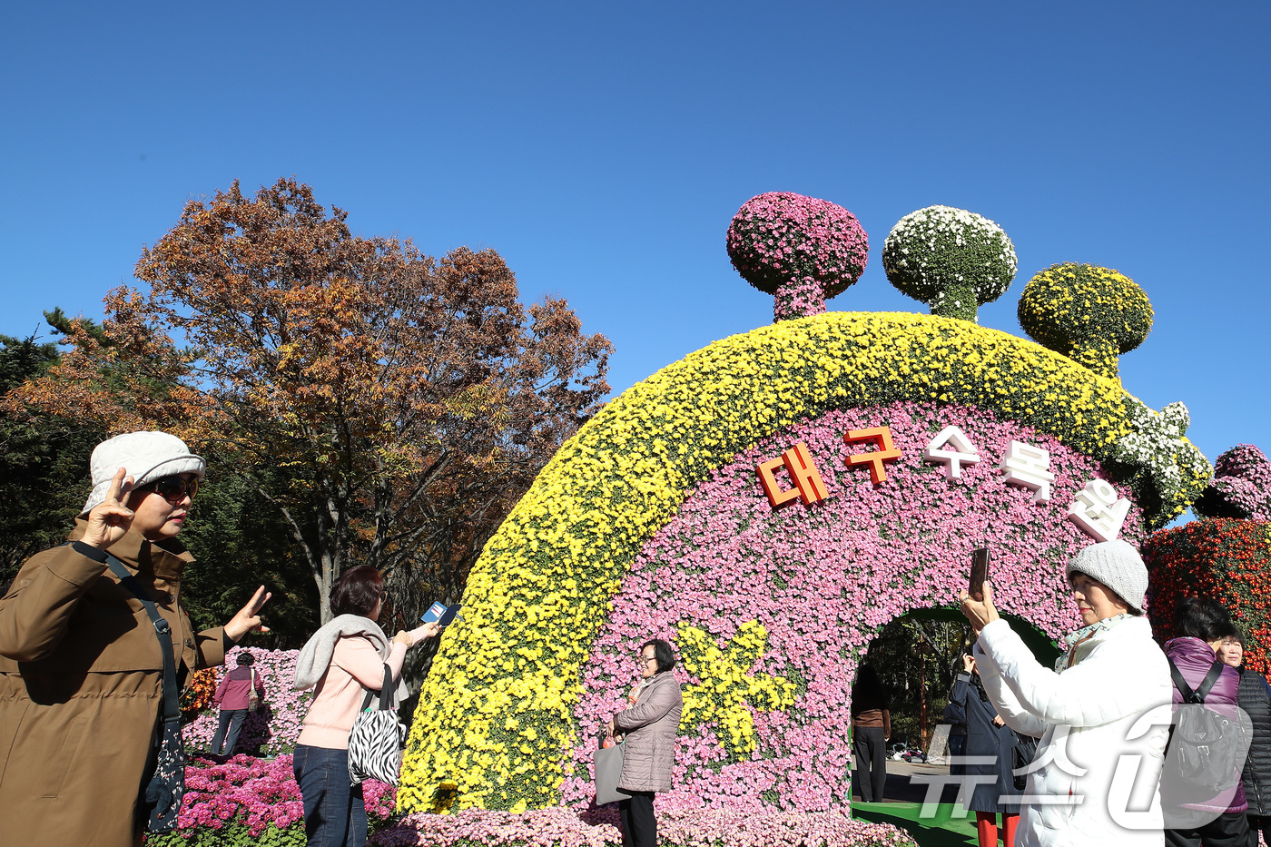 (대구=뉴스1) 공정식 기자 = 11일 오후 대구 달서구 대구수목원에서 열린 '제24회 국화전시회'가 형형색색 국화로 장식된 국화 작품을 관람하려는 인파로 붐비고 있다.대구수목원은 …