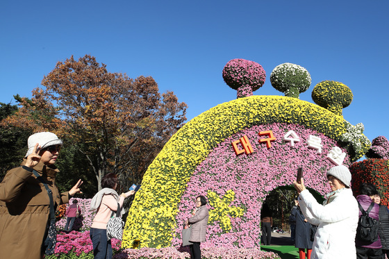 파란하늘 아래 형형색색 국화