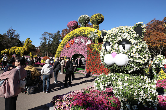 국화향 가득한 대구수목원