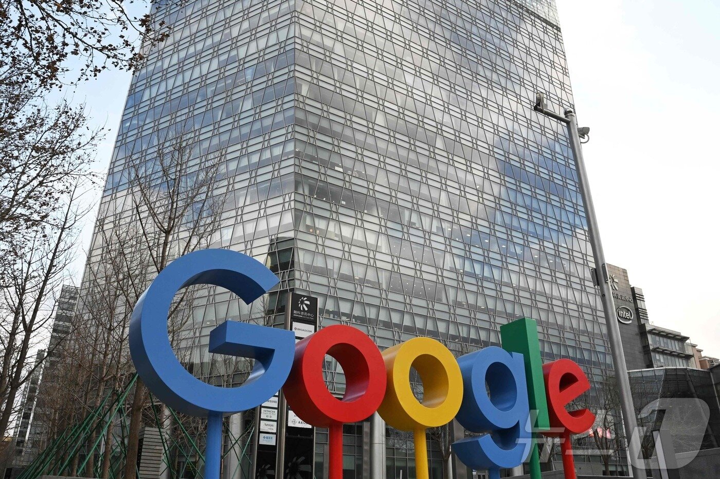 본문 이미지 - 구글 ⓒ AFP=뉴스1