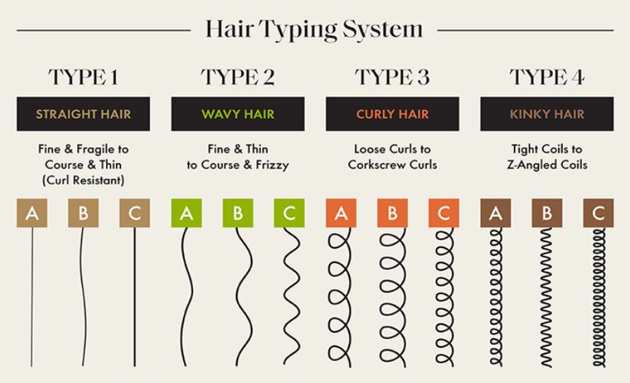 본문 이미지 - 12가지 모발 형태 &#40;코스맥스 제공&#41;