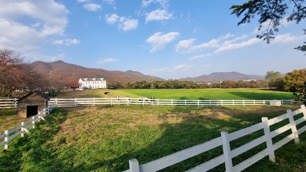 매년 음악회 여는 용인 '농도원목장', 전국서 가장 깨끗한 농장 선정