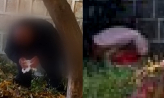 경복궁 돌담 앞 나란히 바지 내린 중국인 남녀…대변 테러했다 '공분'