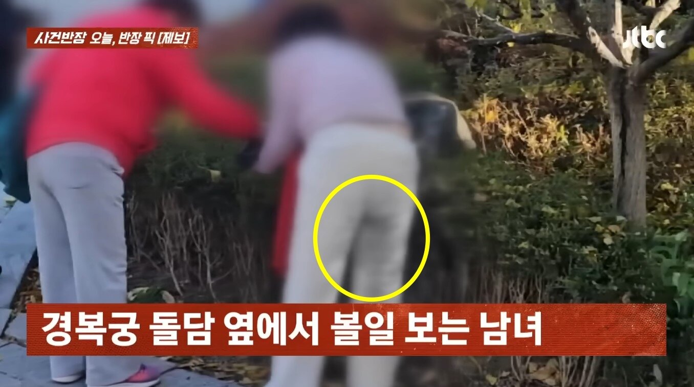 본문 이미지 - (JTHC '사건반장')