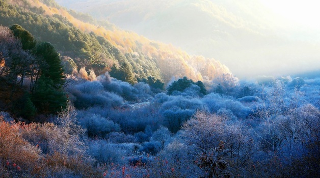 [오늘의 날씨] 강원(14일, 금)…일교차 15도 안팎, 영동 건조
