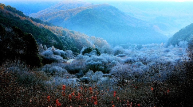 가을 서리 내린 인제 '비밀의 정원' 그림같은 풍경