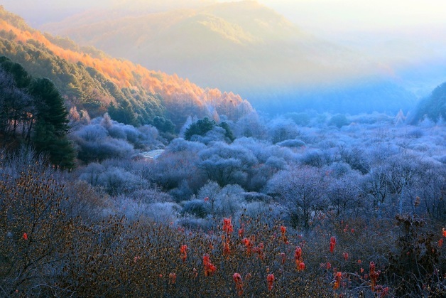 가을 서리 내린 인제 \'비밀의 정원\'