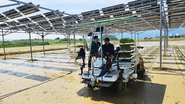 영암군 "벼농사도 짓고 태양광 발전도 하고…매출 8배↑"