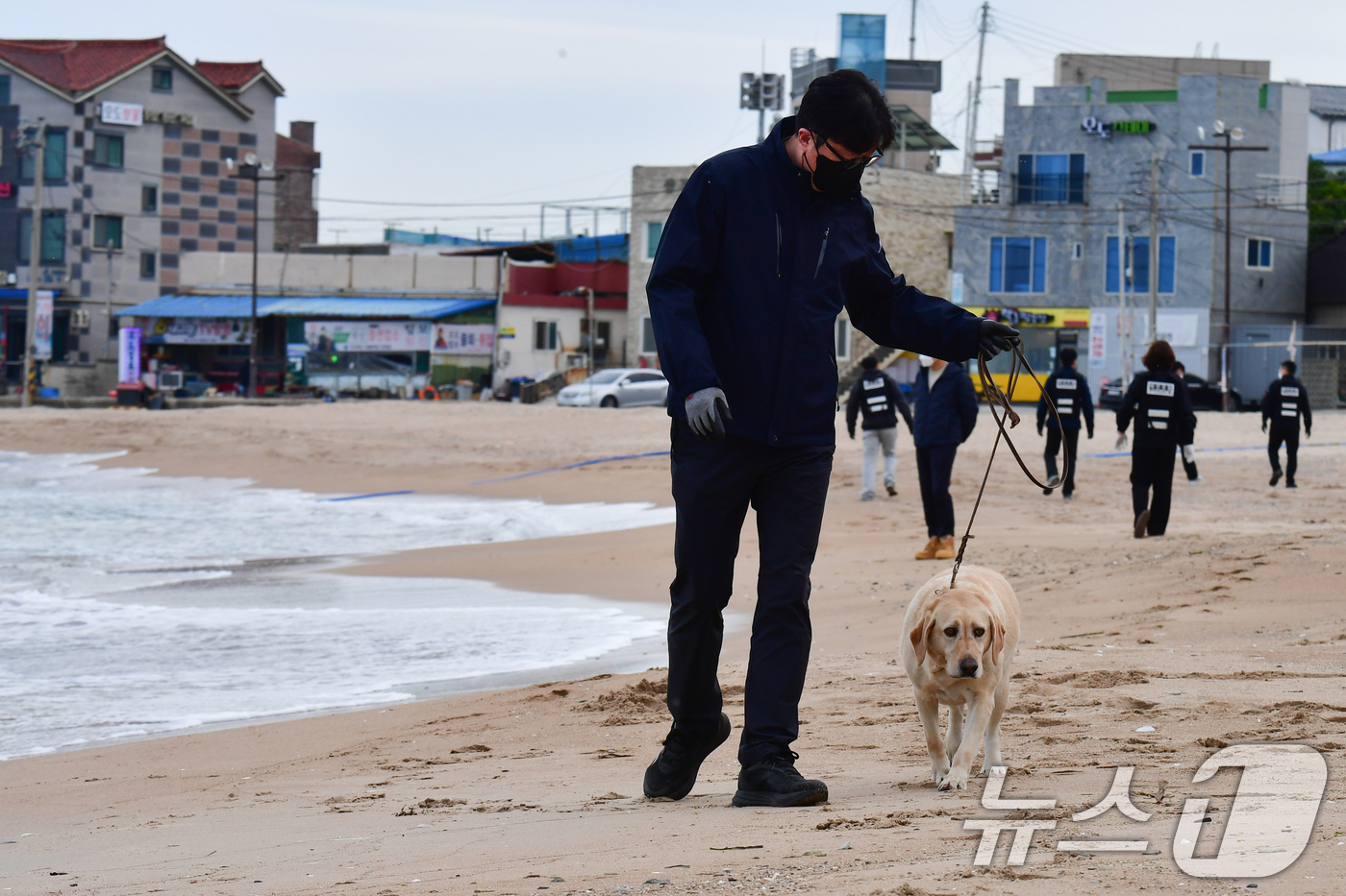 (포항=뉴스1) 최창호 기자 = 12일 경북 포항시 북구 흥해읍 칠포리 해수욕장 백사장에서 관세청 마약 탐지견이 마약 의심류 물질을 수색하고 있다.포항에서는 지난 7일 방어리 해안 …