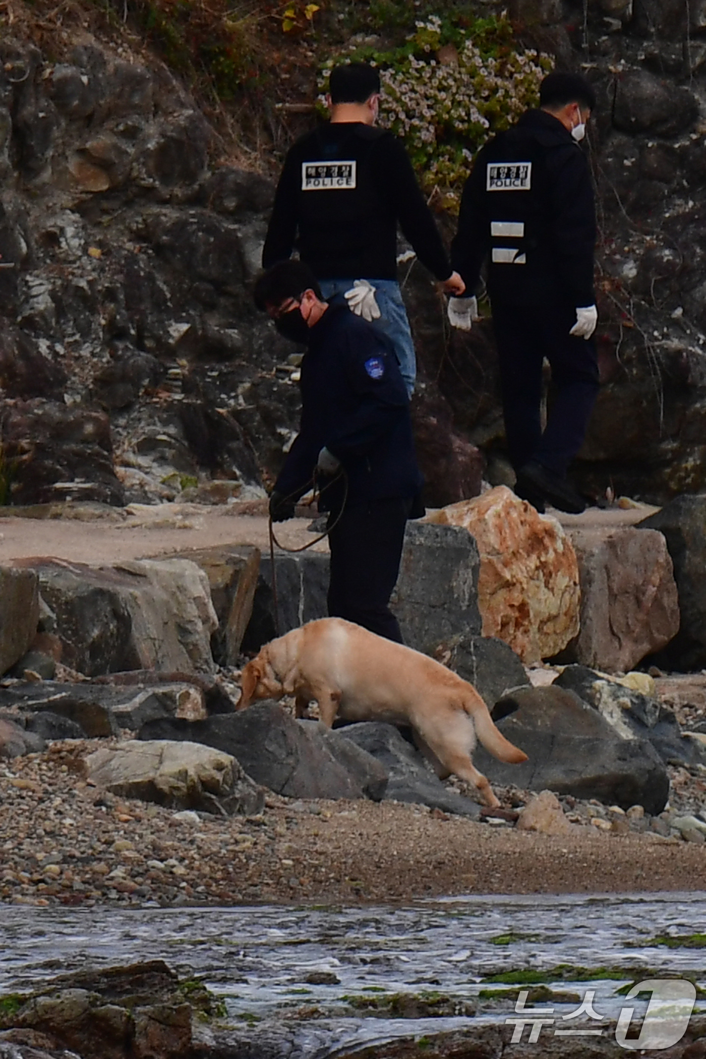 (포항=뉴스1) 최창호 기자 = 12일 경북 포항시 북구 흥해읍 칠포리 해수욕장 백사장에서 관세청 마약 탐지견과 육군 50사단, 포항해경 직원들이 마약 의심류 물질을 수색하고 있다 …