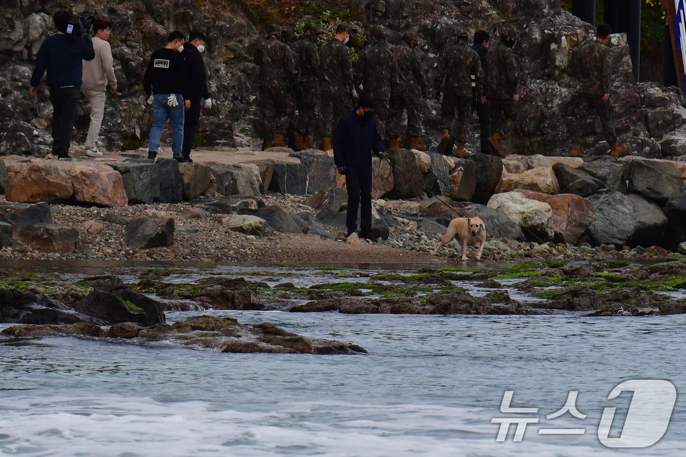 (포항=뉴스1) 최창호 기자 = 12일 경북 포항시 북구 흥해읍 칠포리 해수욕장 백사장에서 관세청 마약 탐지견과 육군 50사단, 포항해경 직원들이 마약 의심류 물질을 수색하고 있다 …