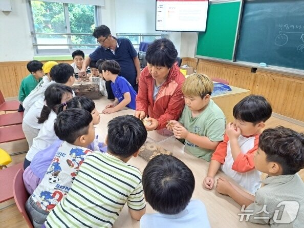 본문 이미지 - 고창남초등학교 곤충생태교실 수업 모습.(전북교육청 제공, 재판매 및 DB 금지)/뉴스1