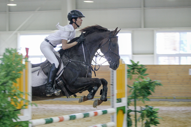 '대한승마협회장배 전국선수권대회' 장수국제승마장서 개막