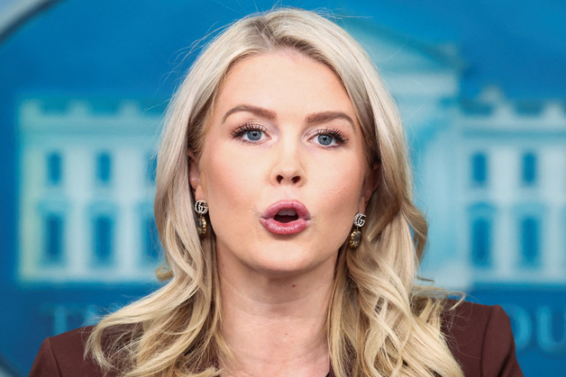 백악관 '엡스타인 이메일' 의혹 부인…"아무것도 입증 못 해"