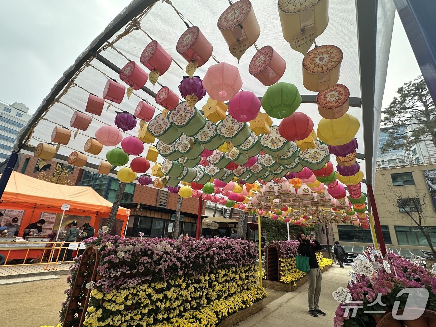 본문 이미지 - 2026학년도 대학수학능력시험이 치러진 13일 서울 종로구 조계사에 수험생 가족들의 염원이 담긴 연등이 매달려 있다. 2025.11.13./뉴스1  강서연 기자