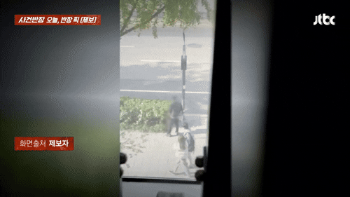 "개도 눈치 보며 싼다"…대낮 노상방뇨男, 행인들 봐도 꼿꼿이 마무리[영상]