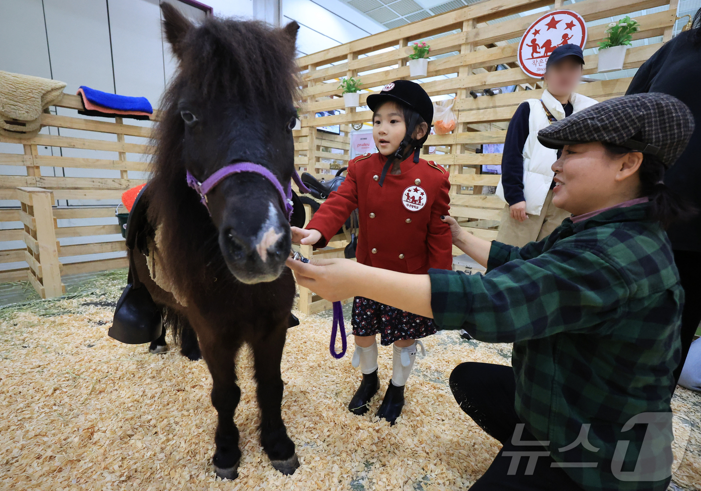 (서울=뉴스1) 김진환 기자 = 13일 오후 서울 강남구 코엑스에서 열린 제56회 서울국제유아교육전 및 키즈페어에서 어린이가 승마체험을 하고 있다. 2025.11.13/뉴스1
