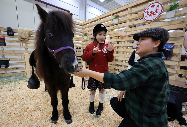 신나는 승마체험