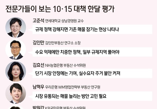 수요 억제에만 치중…10·15 대책, 안정화 한계 드러나