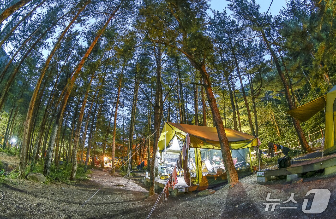 본문 이미지 - 강원 동해시 무릉힐링캠핑장.&#40;동해시 제공, 재판매 및 DB 금지&#41; 2025.11.14/뉴스1