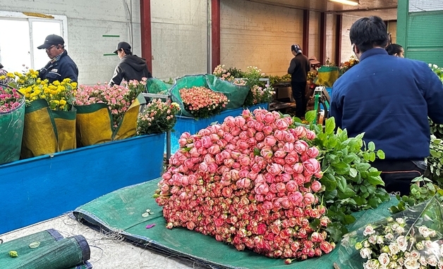 진천군 농업기술보급혁신 경진대회 최우수상 수상